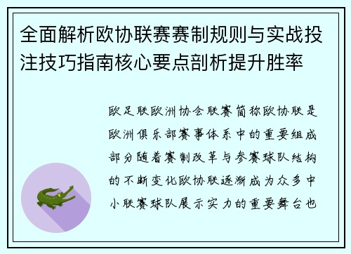 全面解析欧协联赛赛制规则与实战投注技巧指南核心要点剖析提升胜率